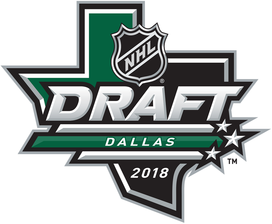 NHL Draft 2018 Primary Logo iron on transfers for T-shirts